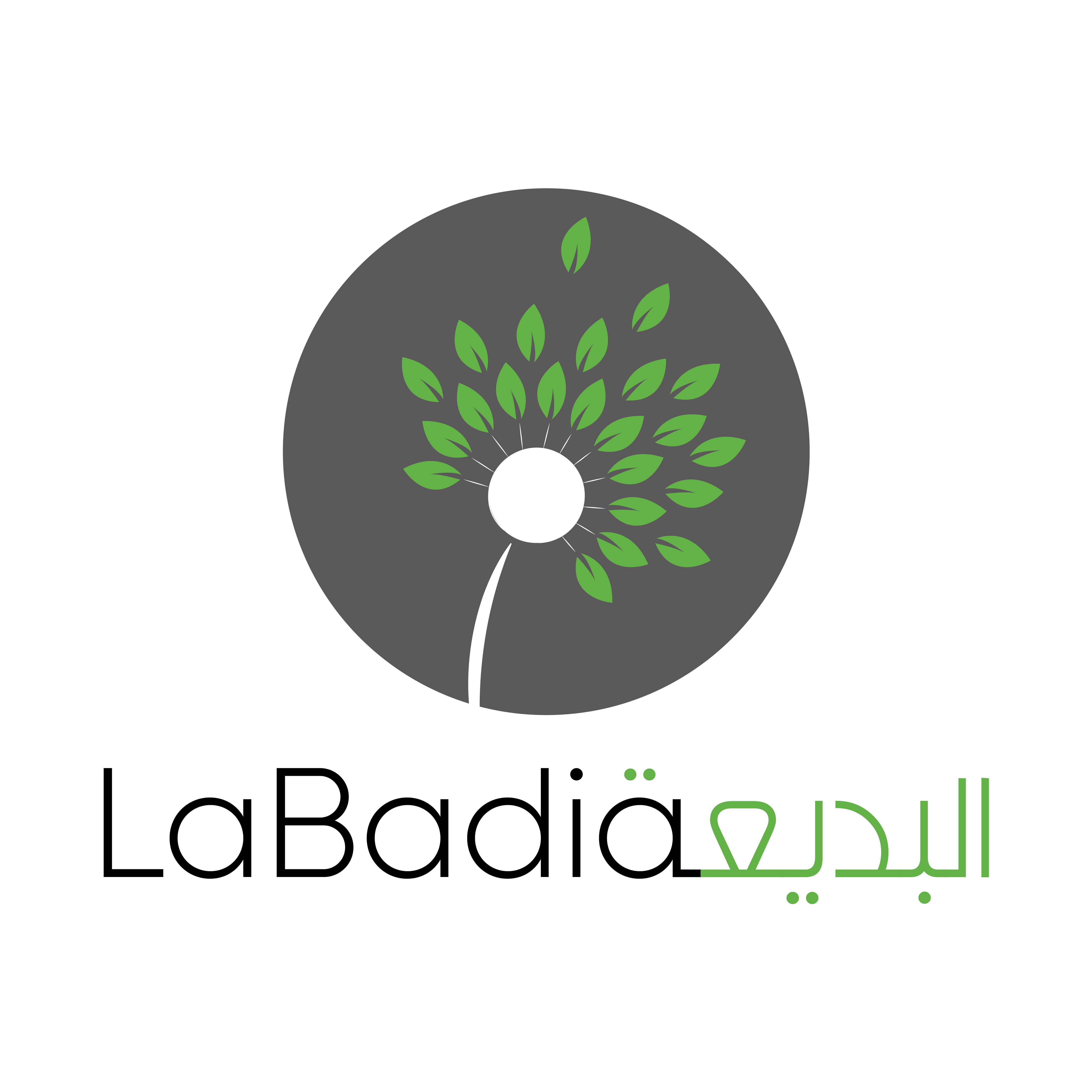 program logo